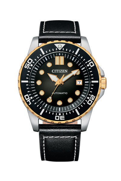 Sat Citizen NJ0176-10E